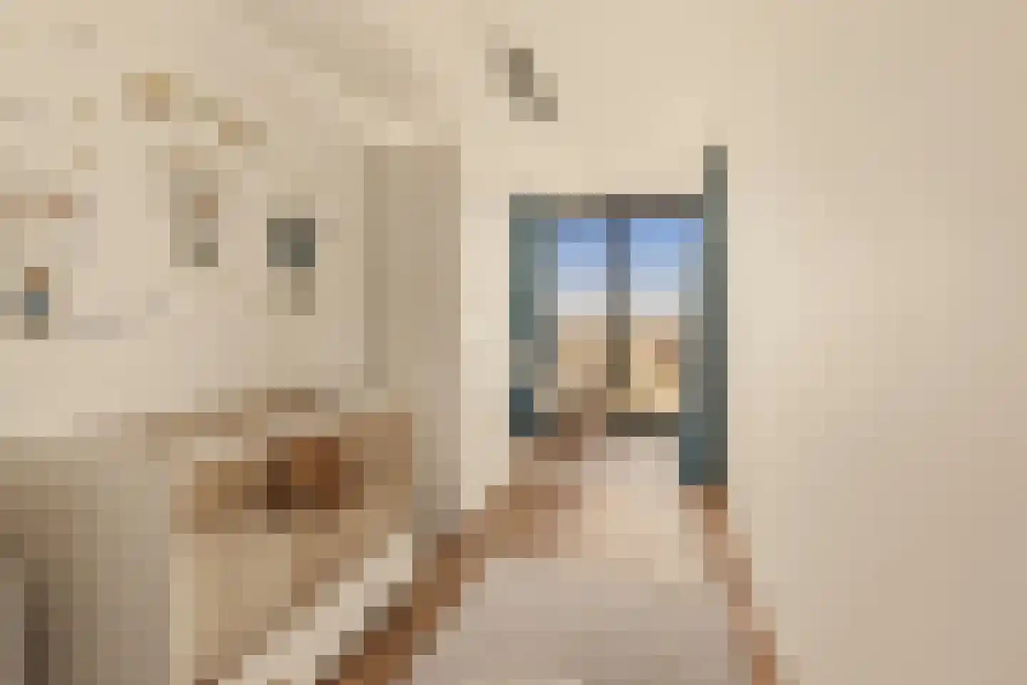 Badhuiskade 217 Amsterdam thumbnail 33