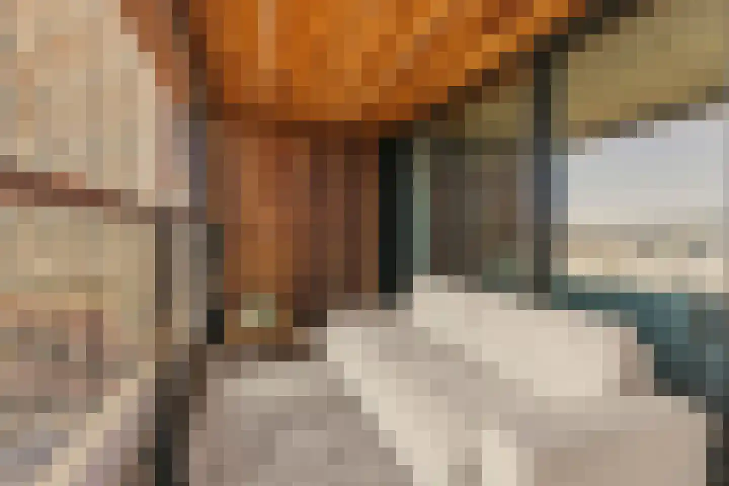 Badhuiskade 217 Amsterdam thumbnail 36