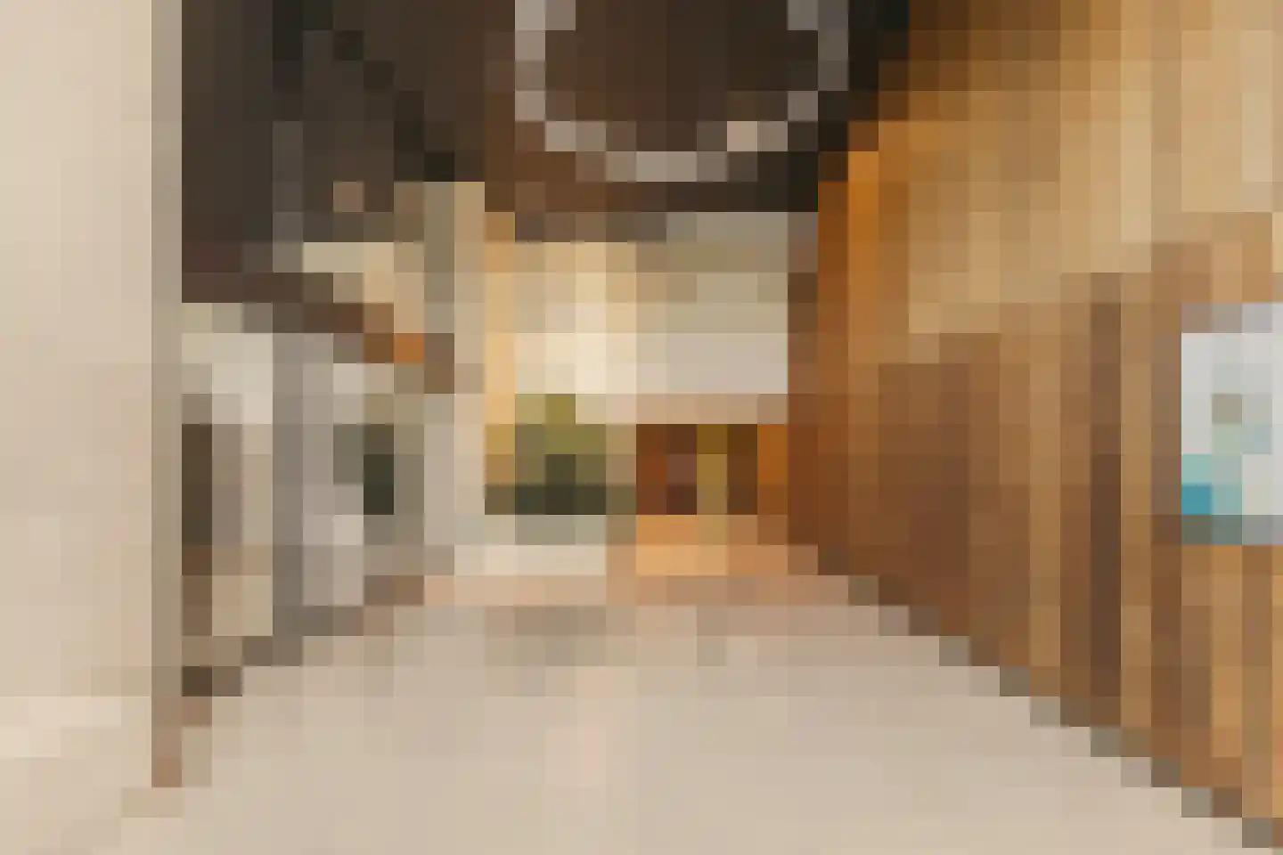 Badhuiskade 217 Amsterdam thumbnail 40