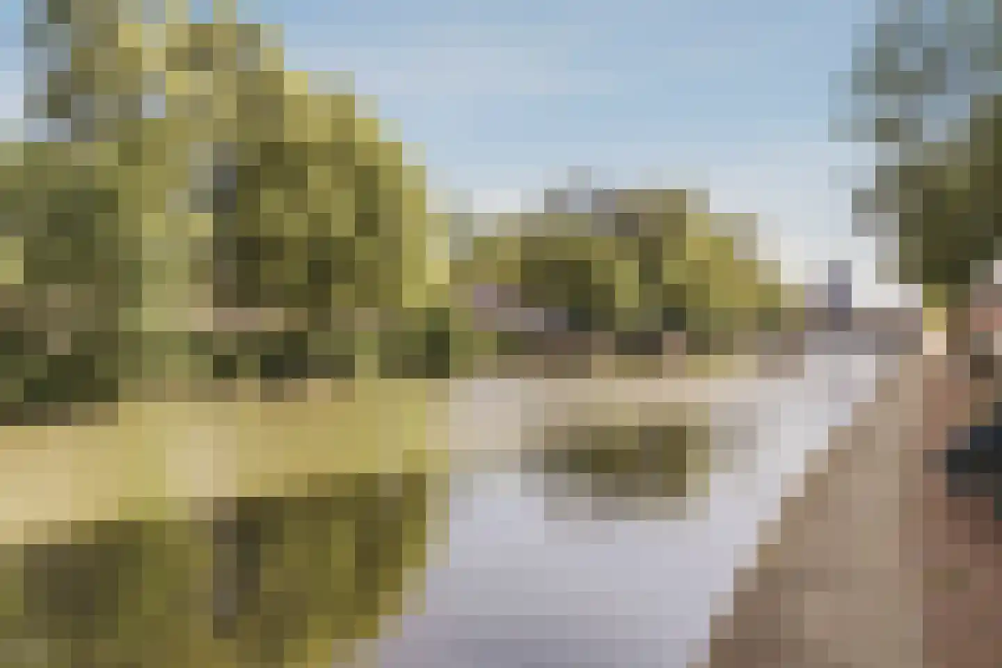 Badhuiskade 217 Amsterdam thumbnail 58
