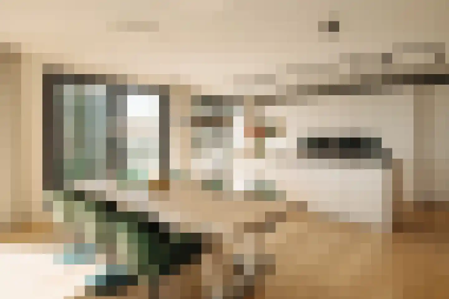 Badhuiskade 229 Amsterdam thumbnail 13