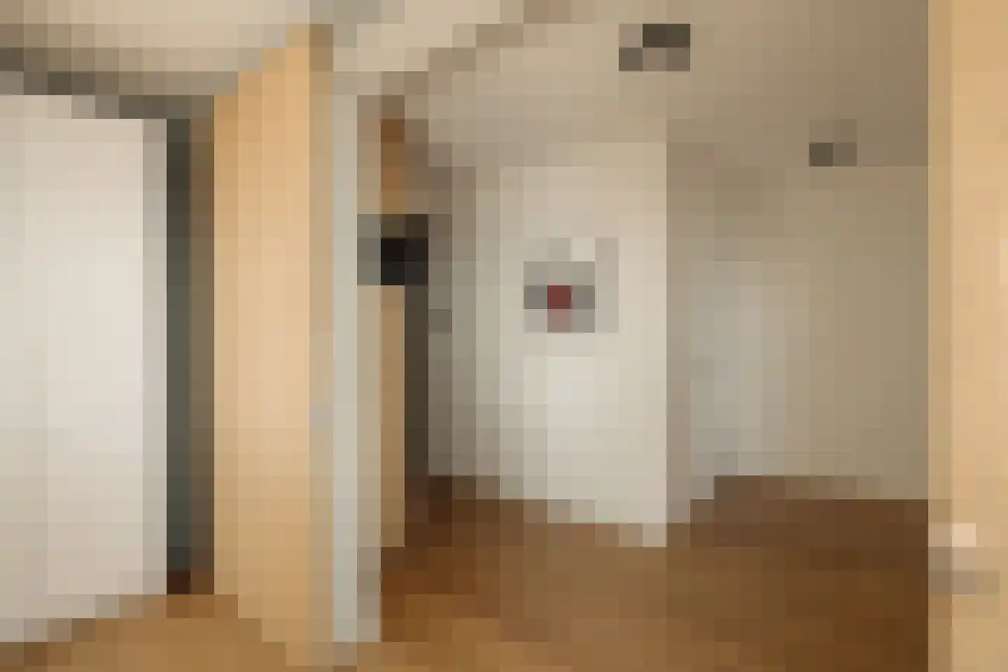 Badhuiskade 229 Amsterdam thumbnail 19