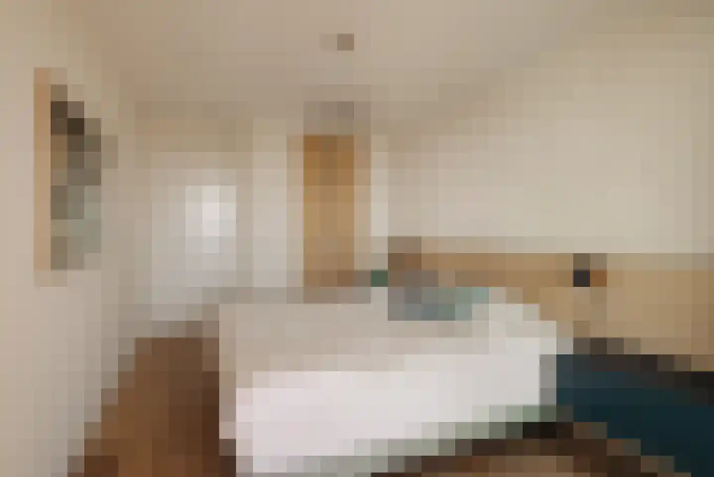 Badhuiskade 229 Amsterdam thumbnail 21