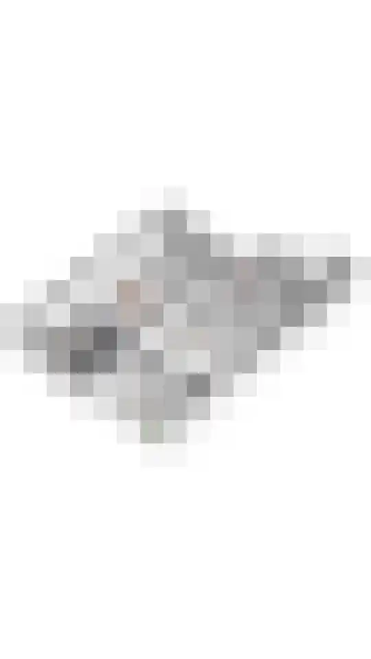 Badhuiskade 229 Amsterdam thumbnail 44