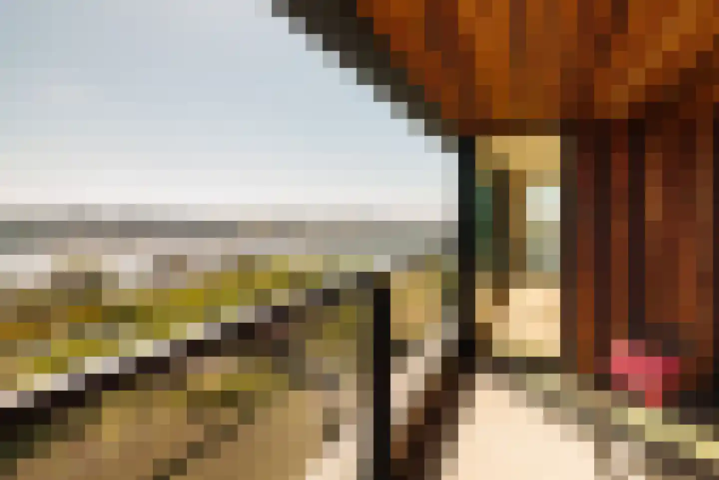Badhuiskade 229 Amsterdam thumbnail 7