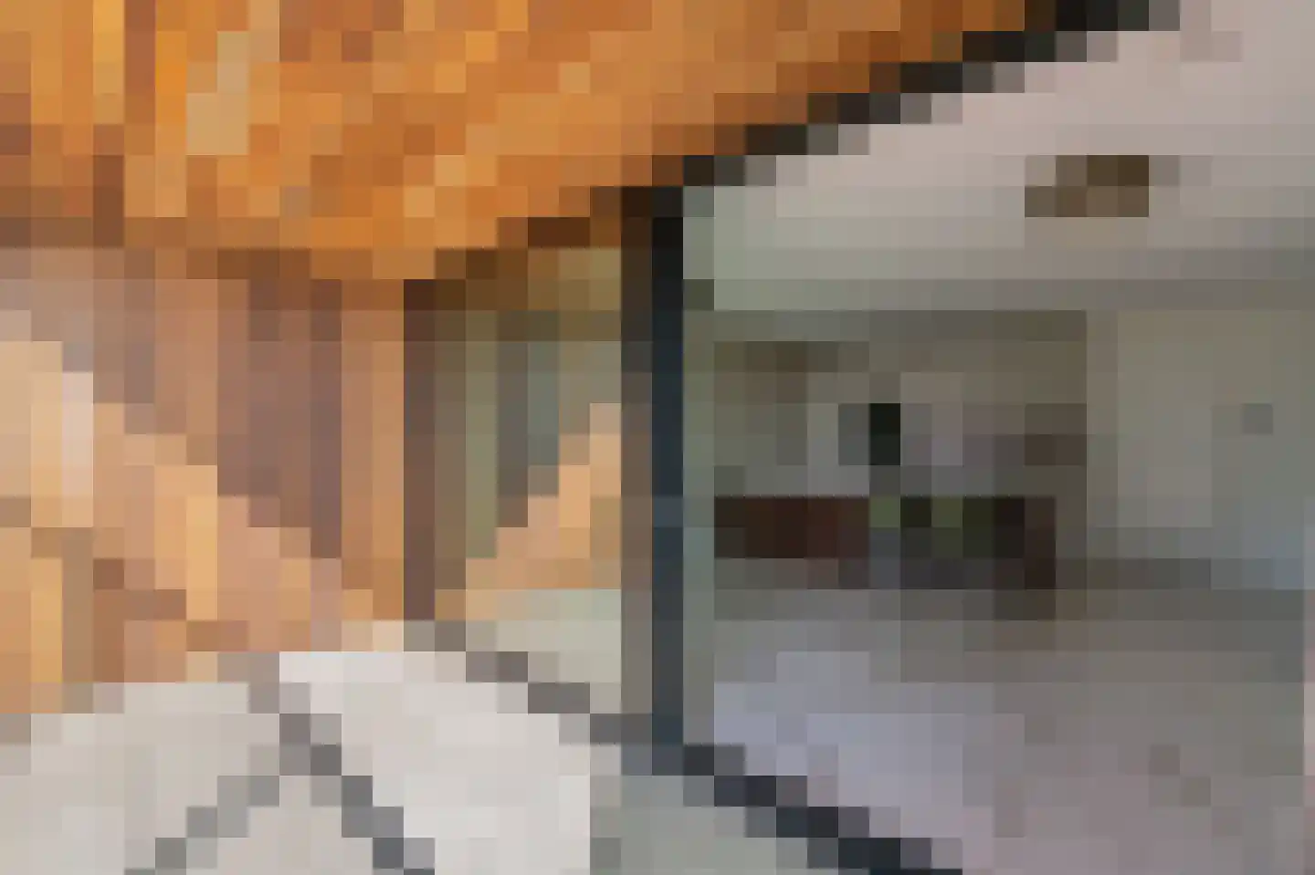 Badhuiskade 231 Amsterdam thumbnail 15
