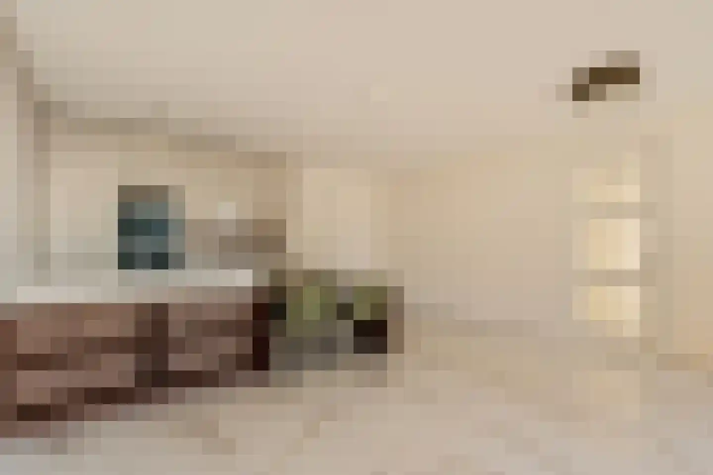 Badhuiskade 231 Amsterdam thumbnail 24