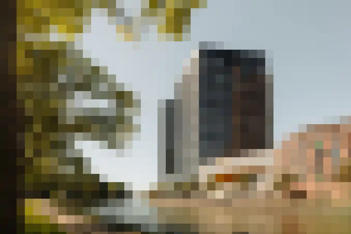 Badhuiskade 231 Amsterdam thumbnail 48