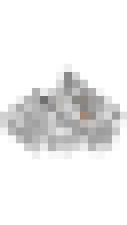 Badhuiskade 231 Amsterdam thumbnail 59