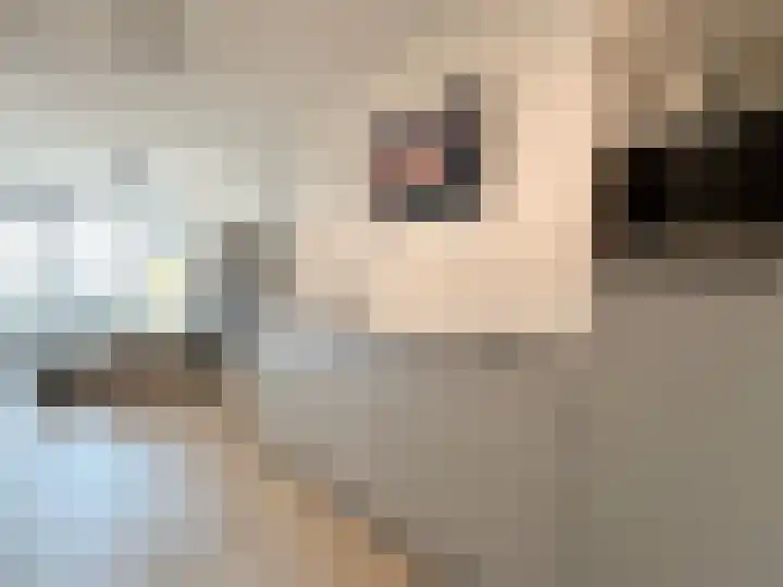 Badhuiskade 257 Amsterdam thumbnail 14
