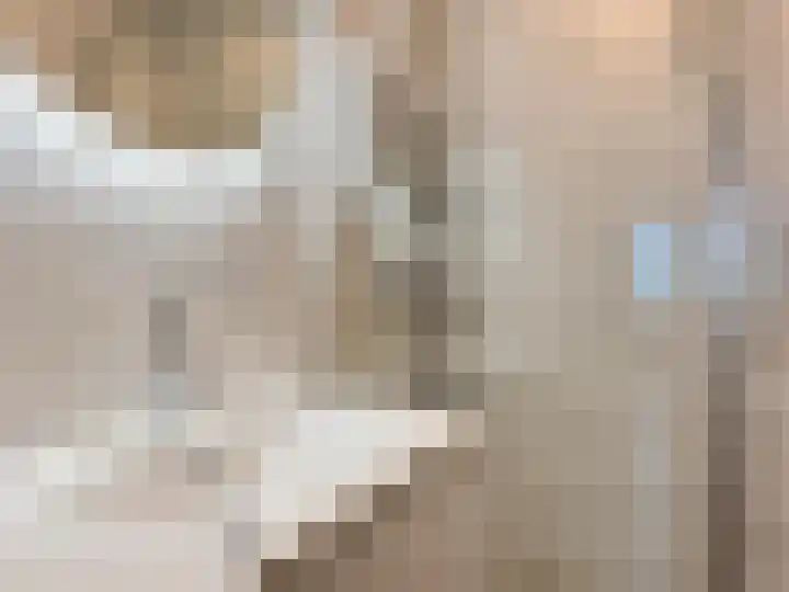 Badhuiskade 257 Amsterdam thumbnail 24
