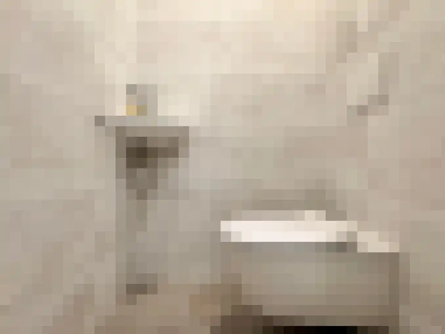 Badhuiskade 257 Amsterdam thumbnail 28