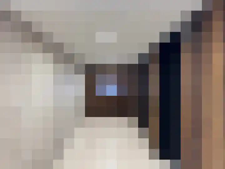 Badhuiskade 257 Amsterdam thumbnail 31