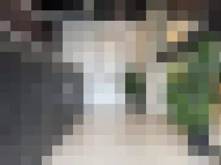 Badhuiskade 257 Amsterdam thumbnail 33