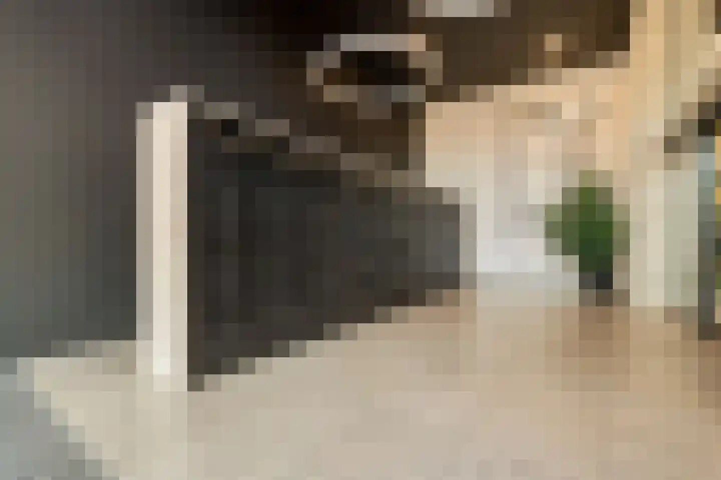 Badhuiskade 271 Amsterdam thumbnail 6