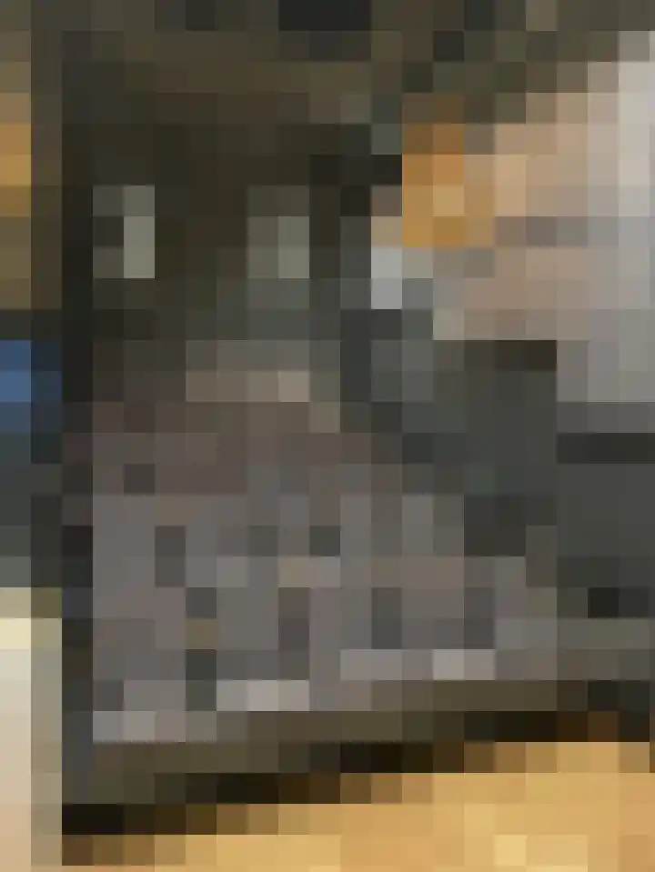 Badhuiskade 303 Amsterdam thumbnail 29