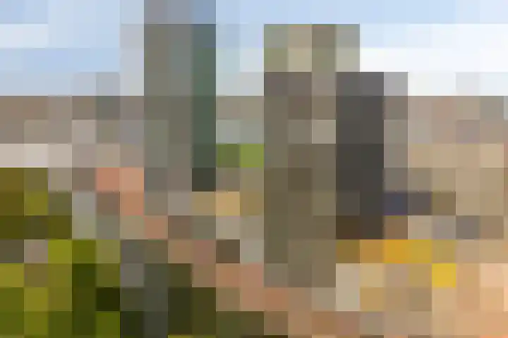Badhuiskade 303 Amsterdam thumbnail 36