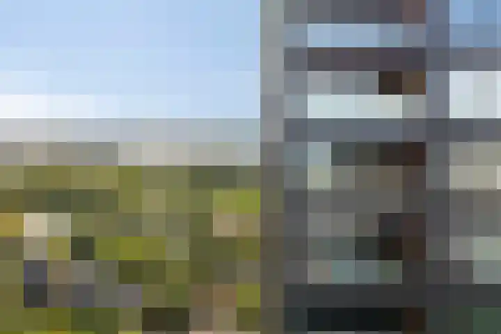 Badhuiskade 303 Amsterdam thumbnail 4