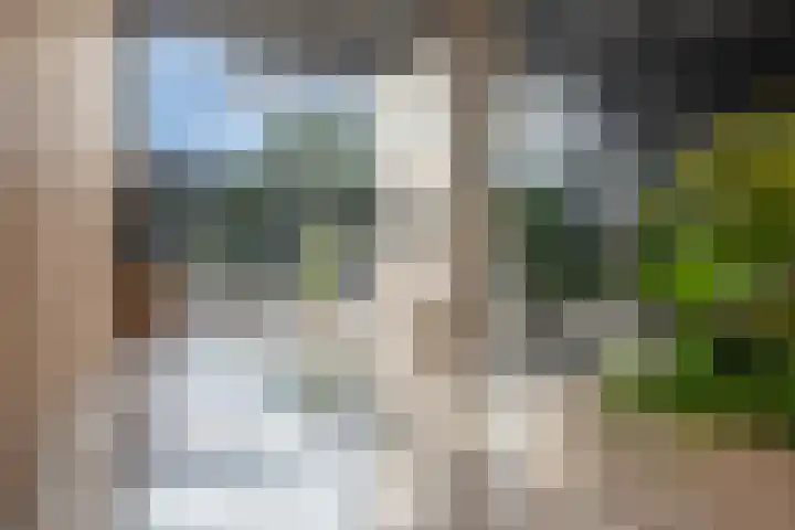 Badhuiskade 303 Amsterdam thumbnail 5