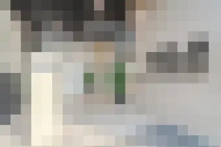 Badhuiskade 303 Amsterdam thumbnail 7