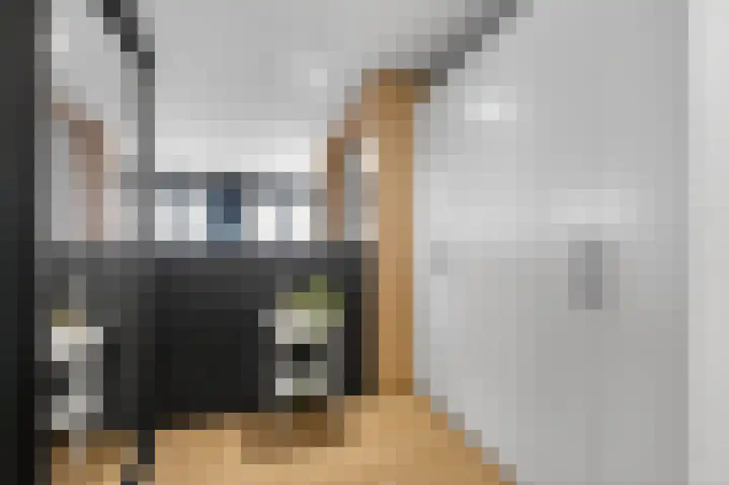Badhuiskade 321 Amsterdam thumbnail 11