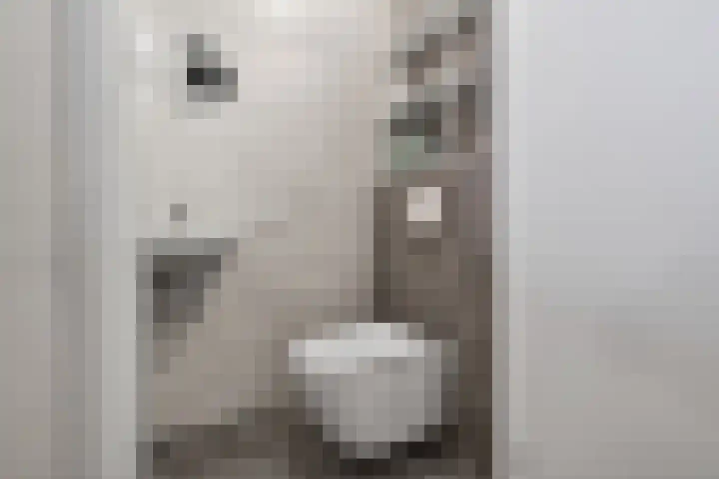 Badhuiskade 321 Amsterdam thumbnail 13