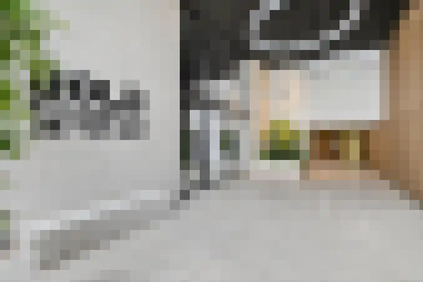 Badhuiskade 321 Amsterdam thumbnail 28