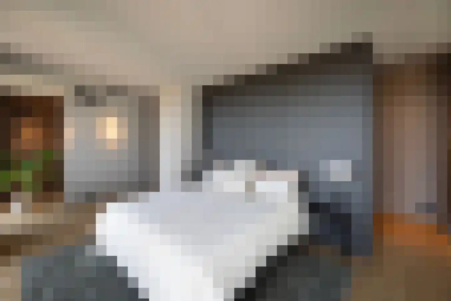 Badhuiskade 351 Amsterdam thumbnail 47