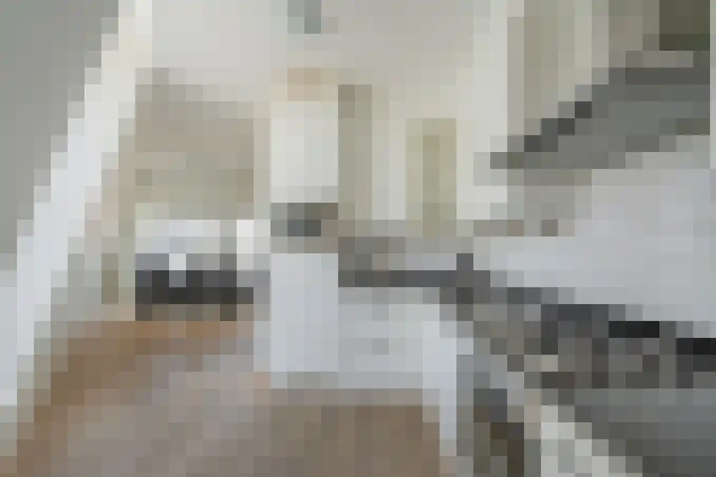 Badhuiskade 4 G Den Haag thumbnail 21
