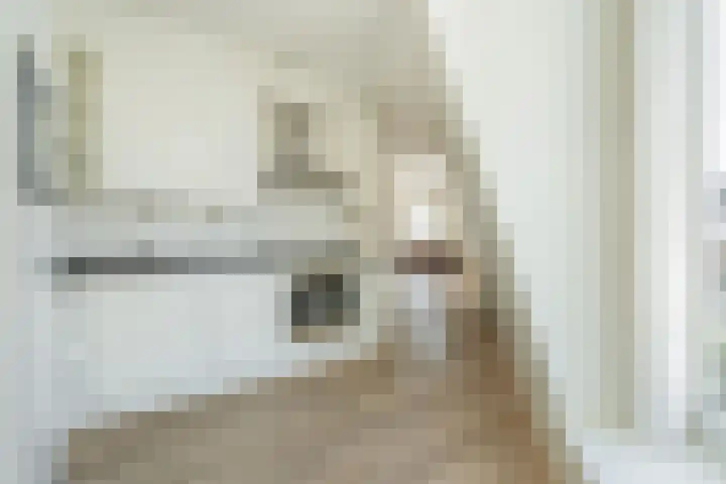 Badhuiskade 4 G Den Haag thumbnail 22