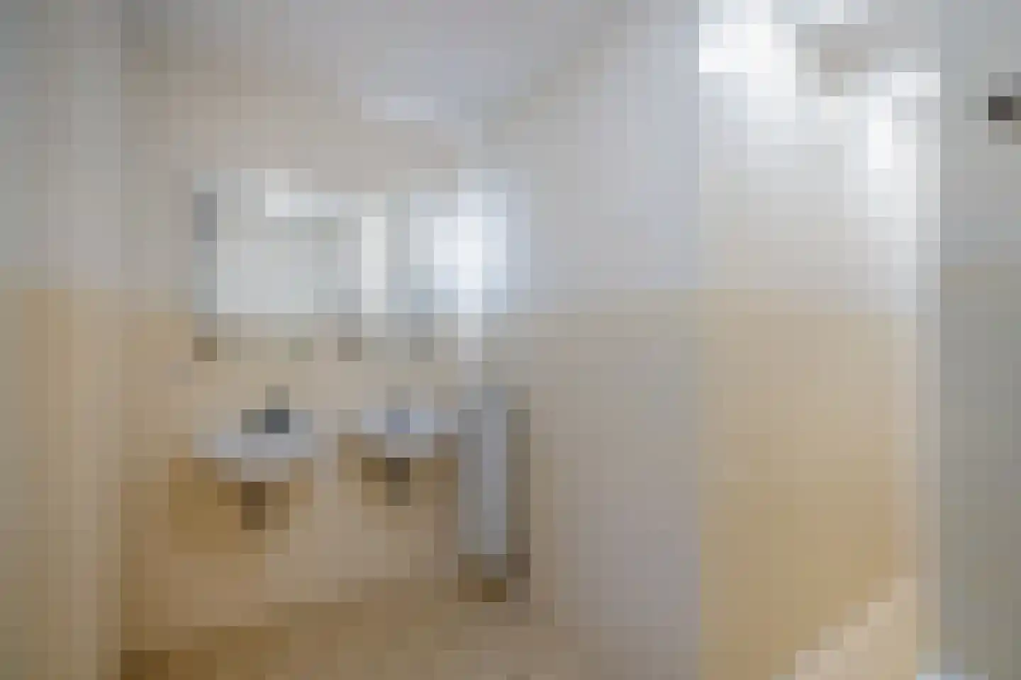Badhuiskade 4 G Den Haag thumbnail 37