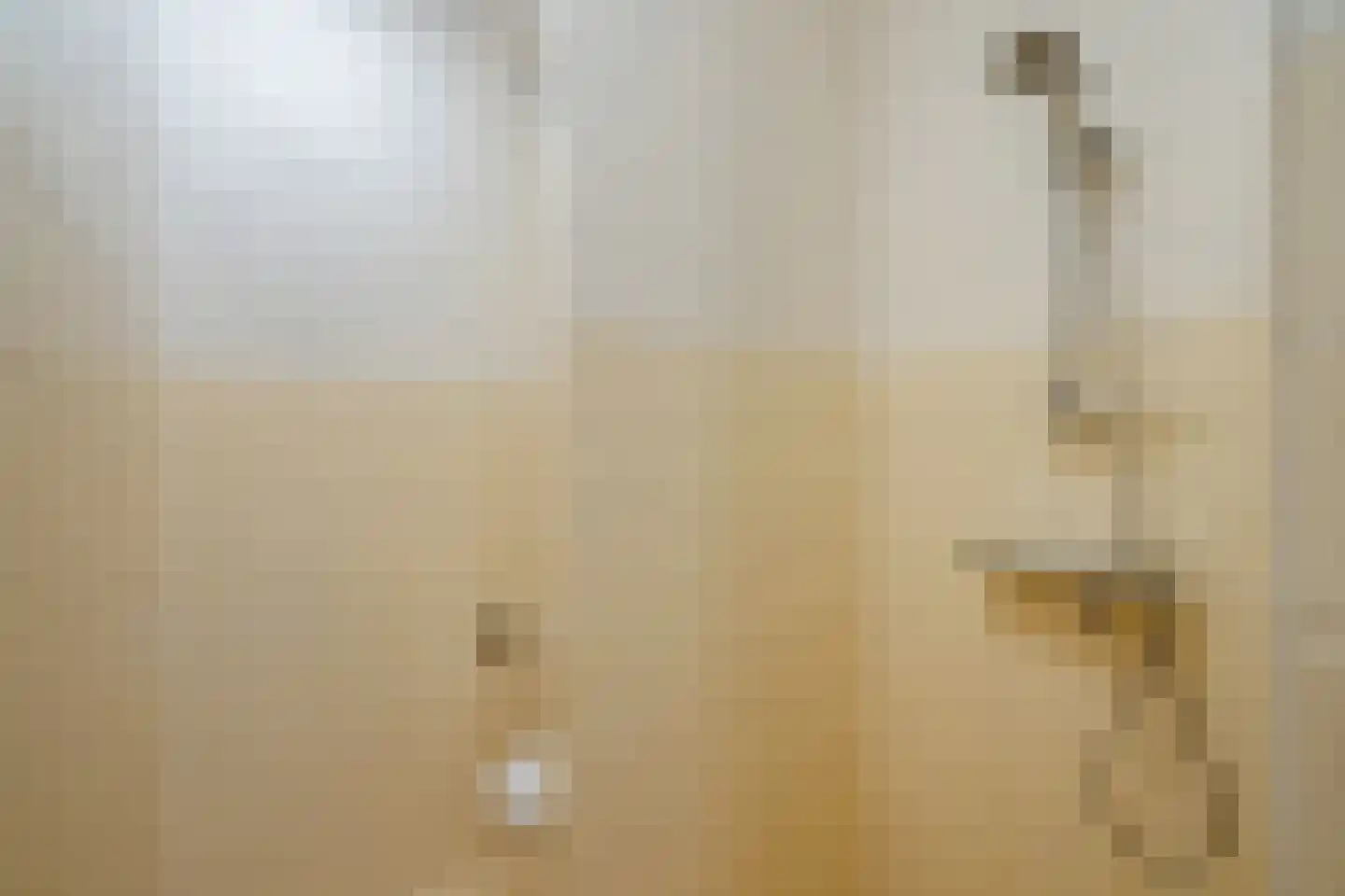 Badhuiskade 4 G Den Haag thumbnail 39