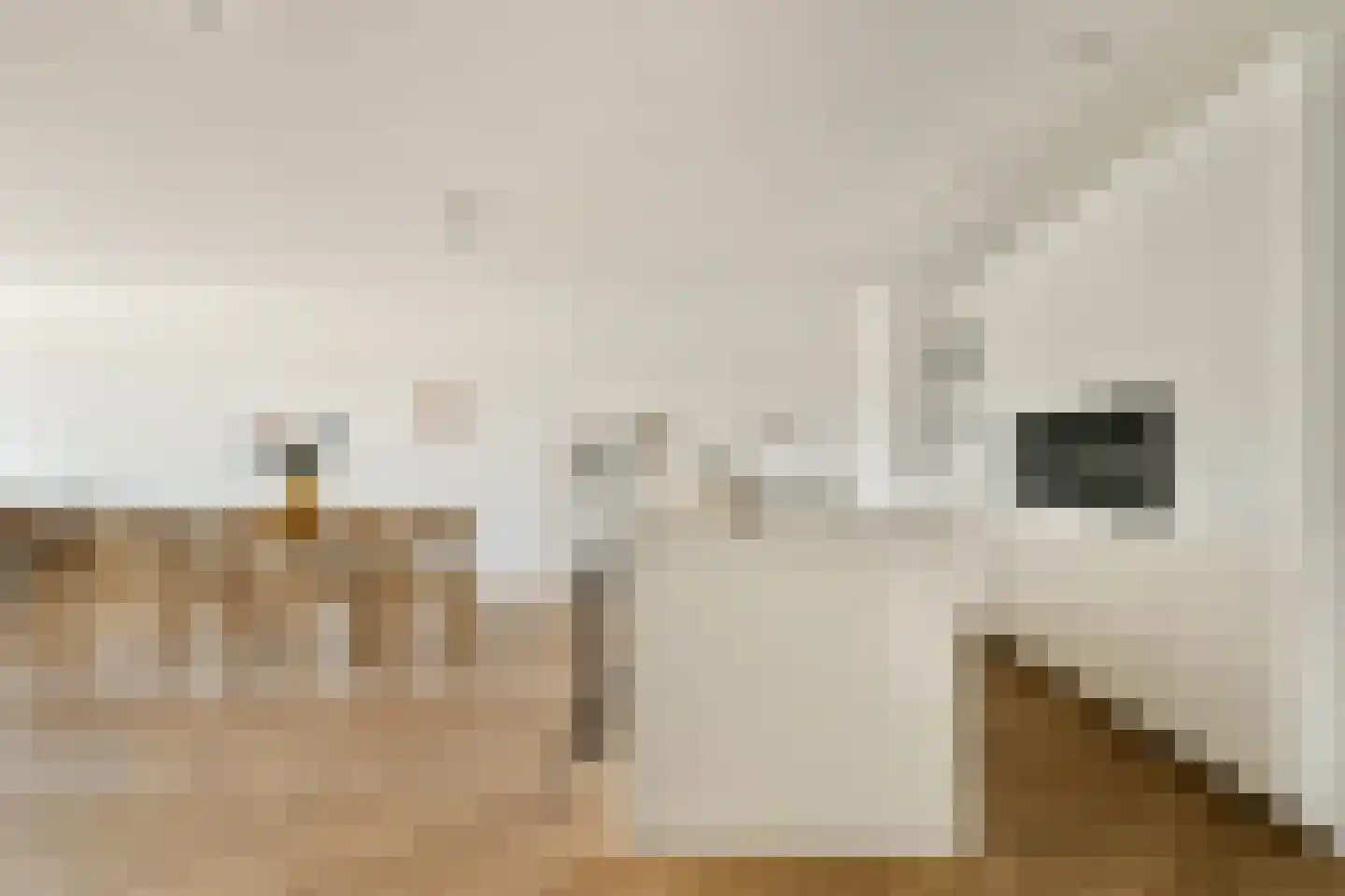 Badhuiskade 45 Amsterdam thumbnail 11