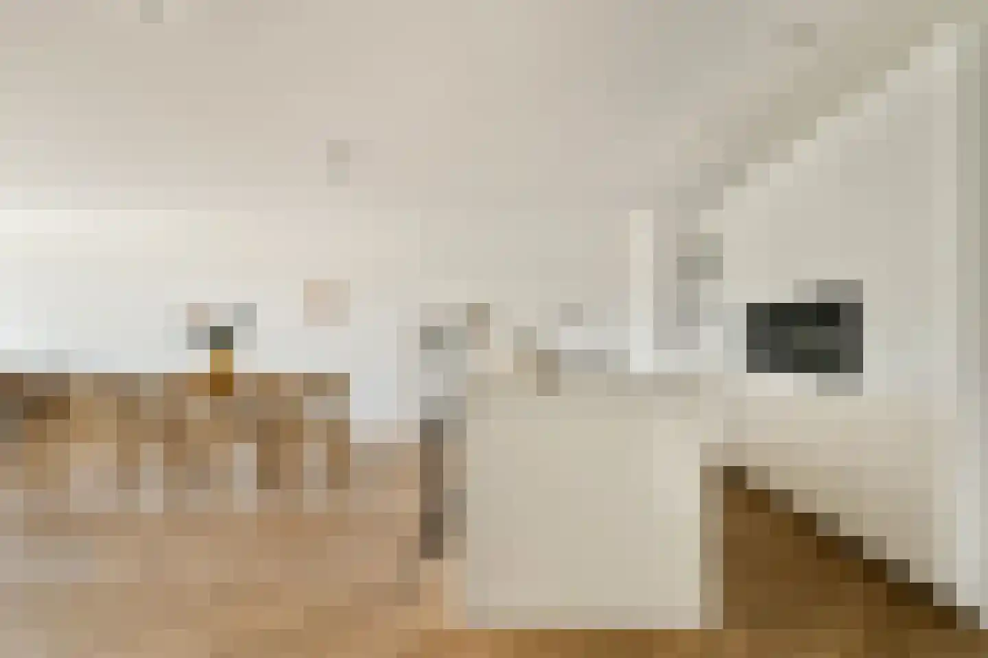 Badhuiskade 45 Amsterdam thumbnail 12