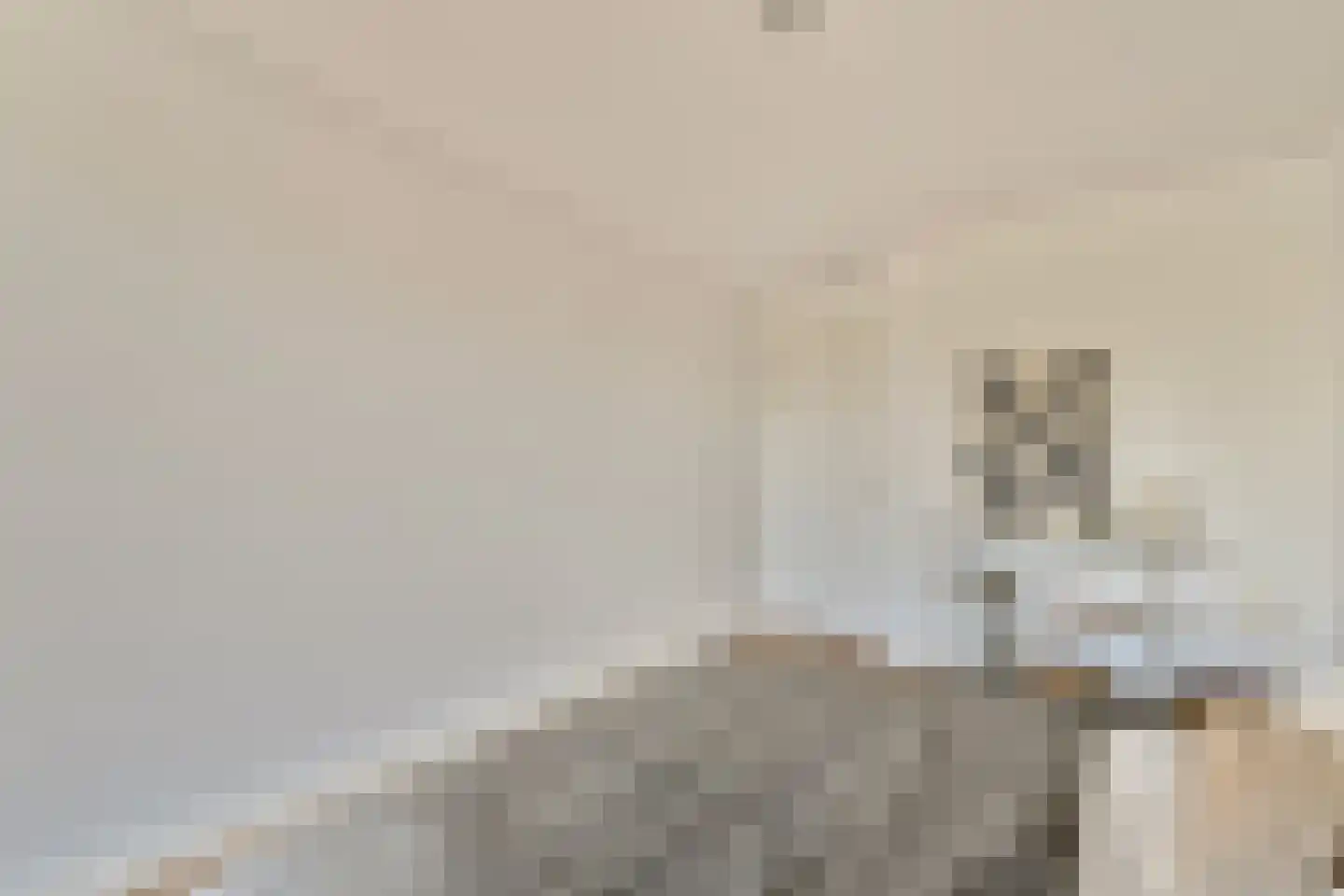 Badhuiskade 45 Amsterdam thumbnail 16