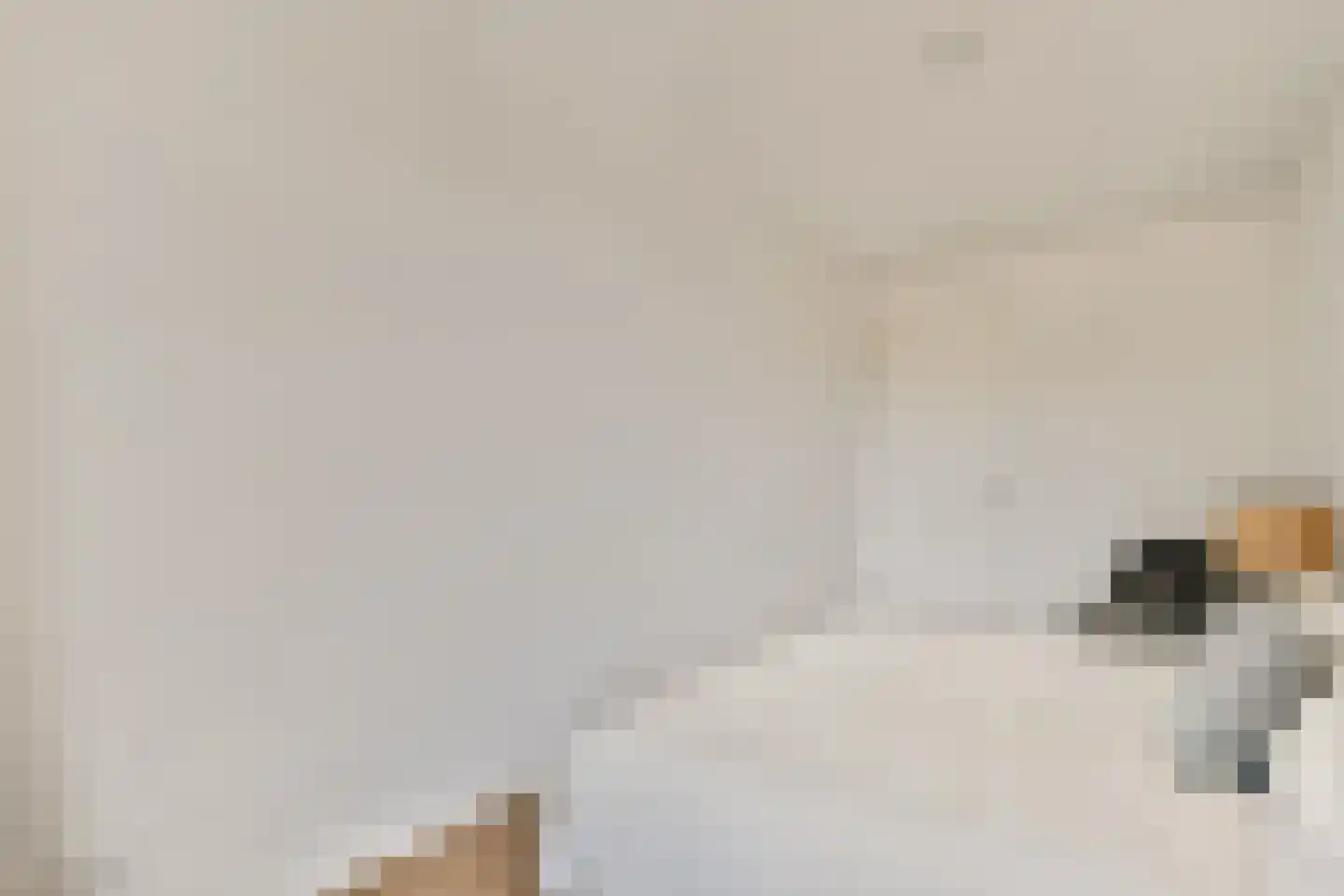 Badhuiskade 45 Amsterdam thumbnail 18