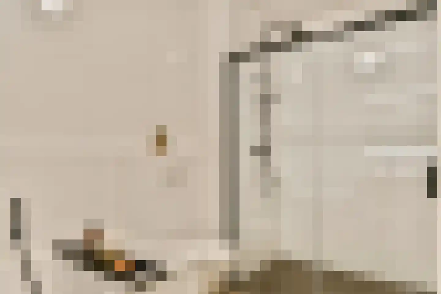 Badhuiskade 45 Amsterdam thumbnail 21