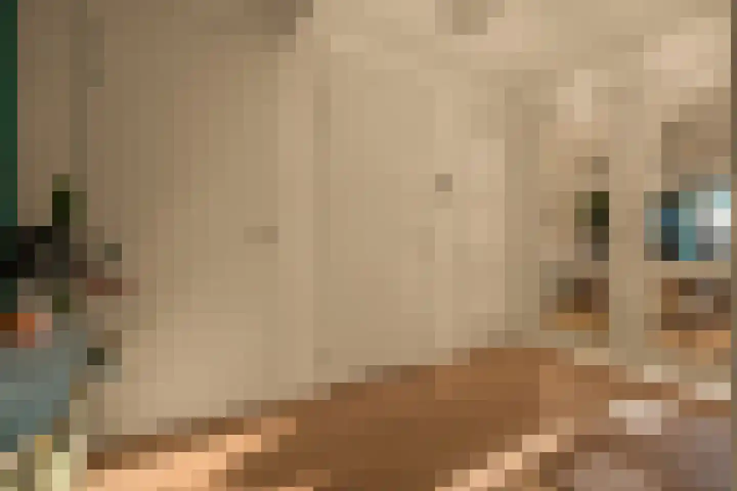 Badhuiskade 51 Amsterdam thumbnail 10