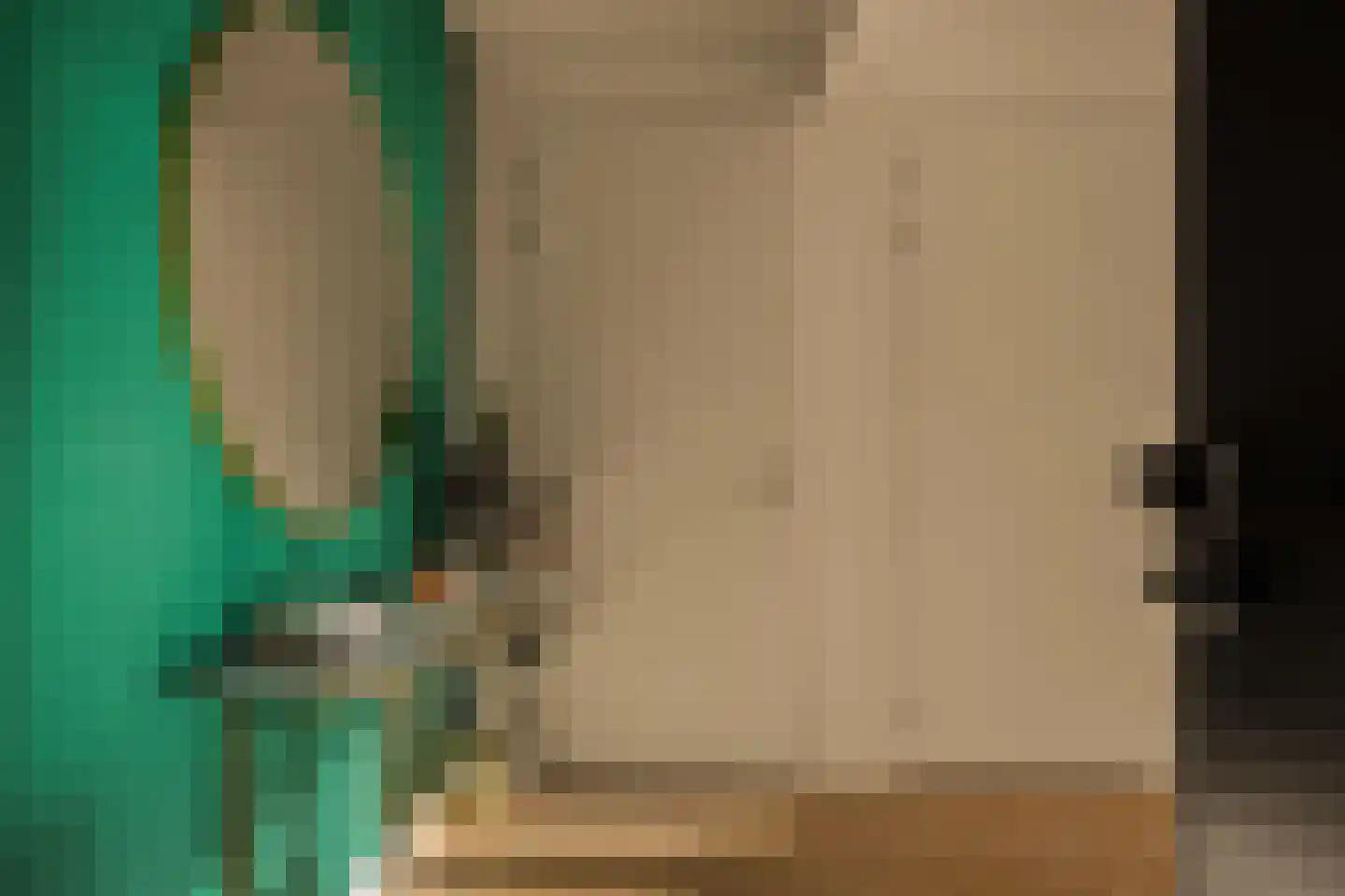 Badhuiskade 51 Amsterdam thumbnail 13