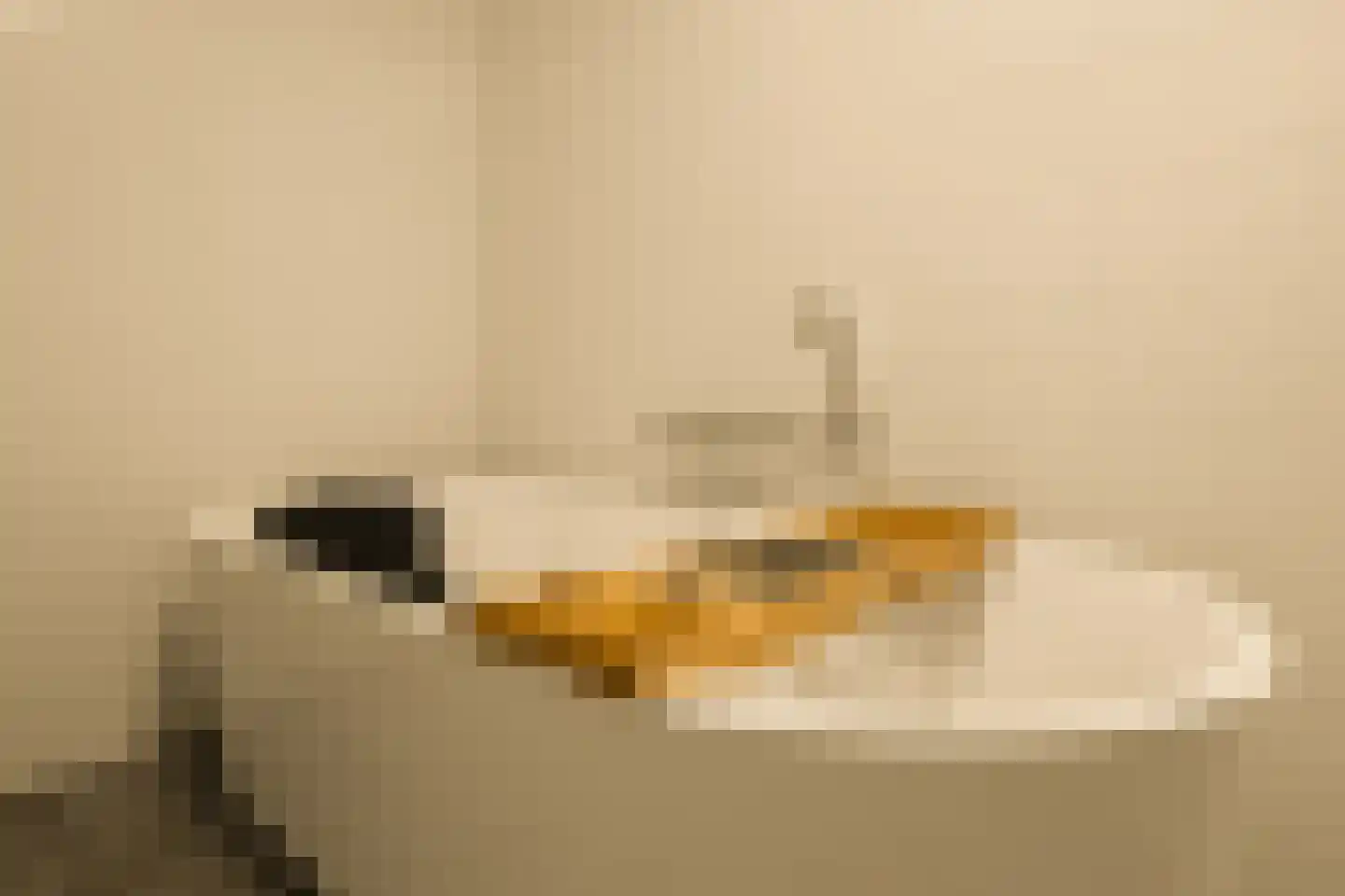 Badhuiskade 51 Amsterdam thumbnail 18