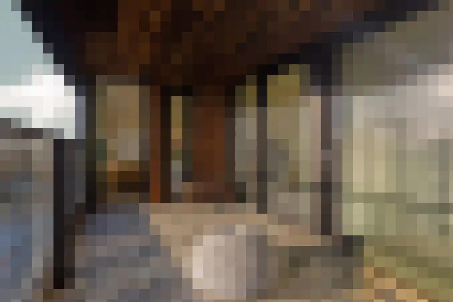 Badhuiskade 51 Amsterdam thumbnail 22