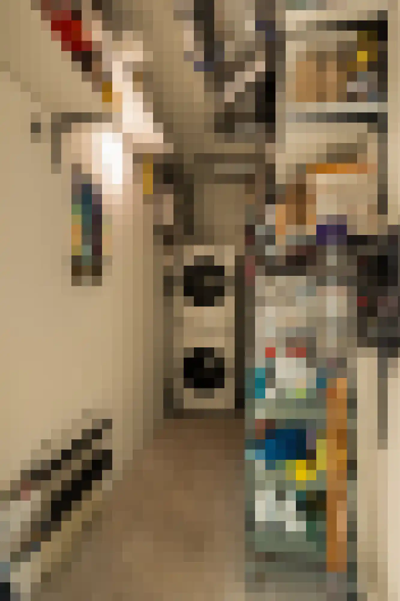 Badhuiskade 51 Amsterdam thumbnail 26