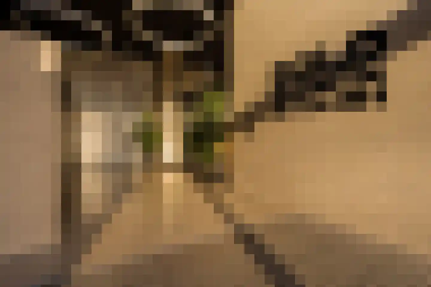 Badhuiskade 51 Amsterdam thumbnail 29