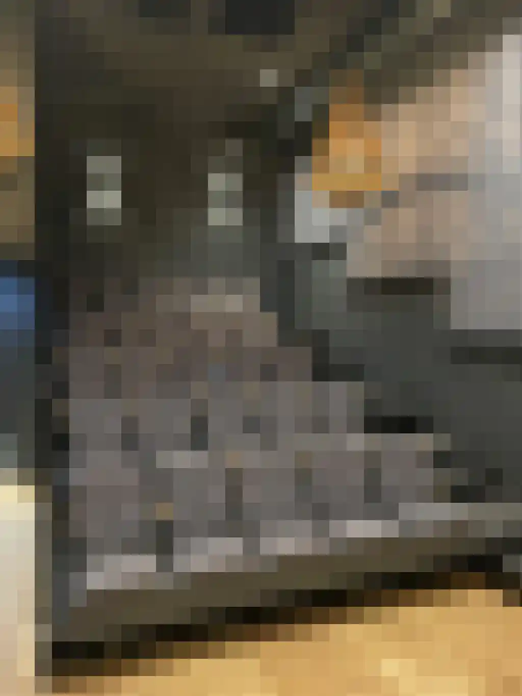 Badhuiskade 51 Amsterdam thumbnail 30
