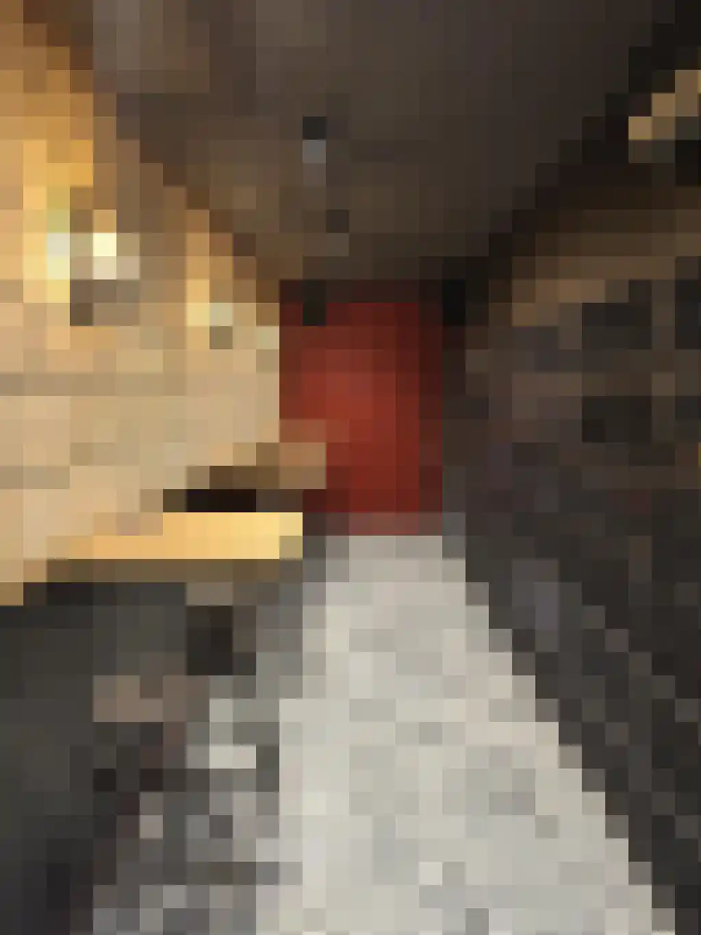 Badhuiskade 51 Amsterdam thumbnail 32