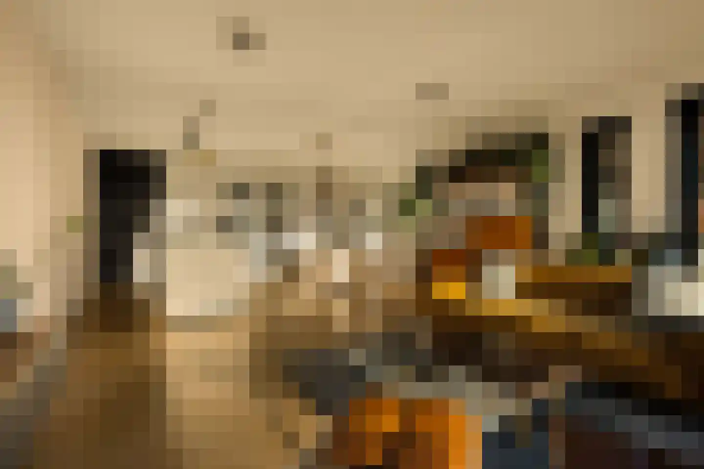 Badhuiskade 51 Amsterdam thumbnail 4