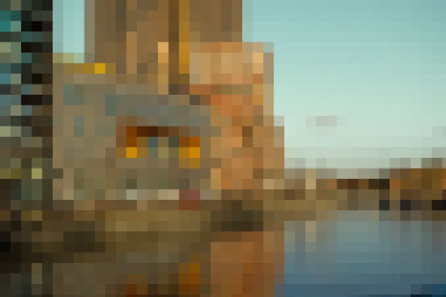 Badhuiskade 51 Amsterdam thumbnail 47