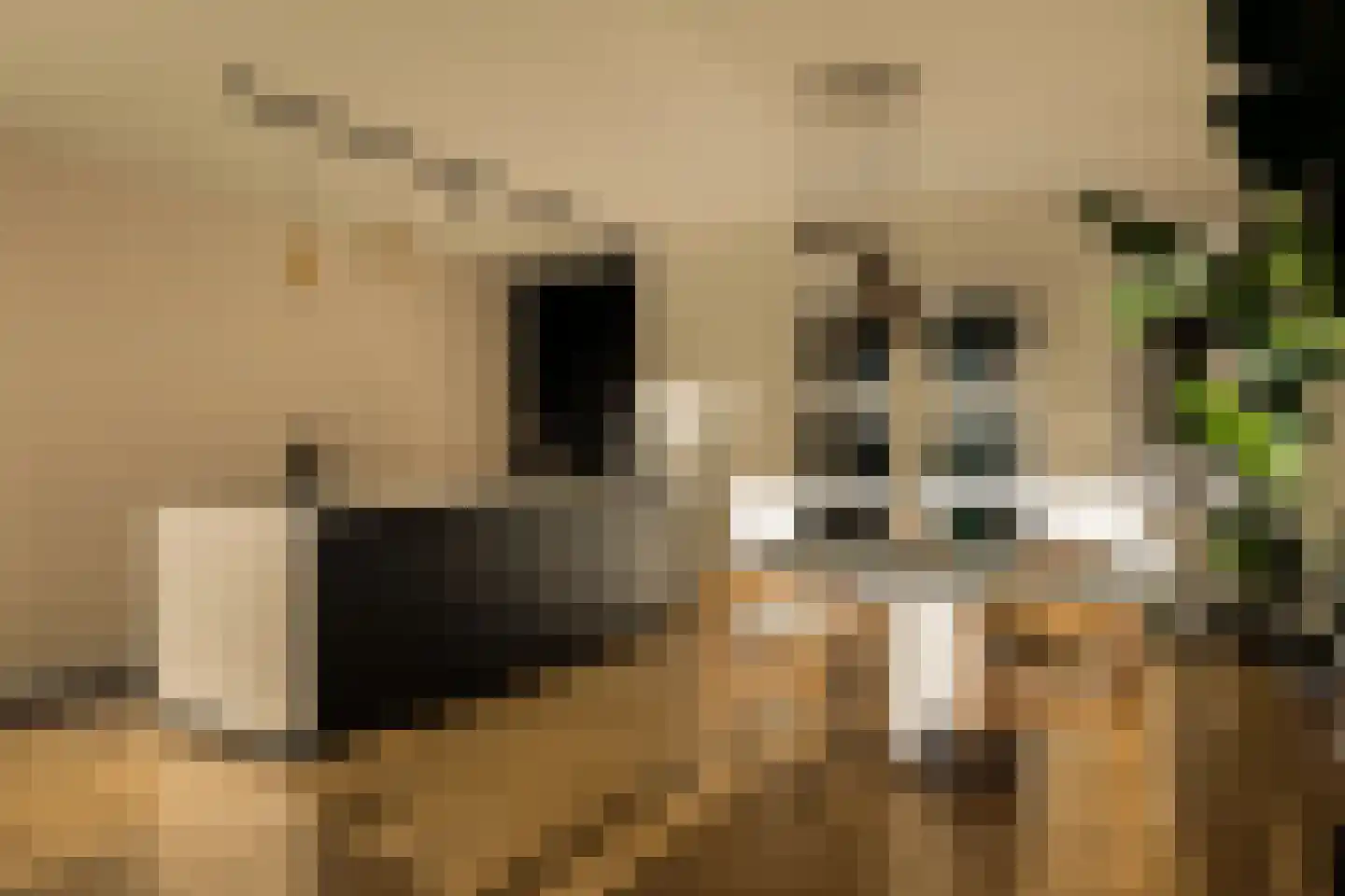 Badhuiskade 51 Amsterdam thumbnail 5