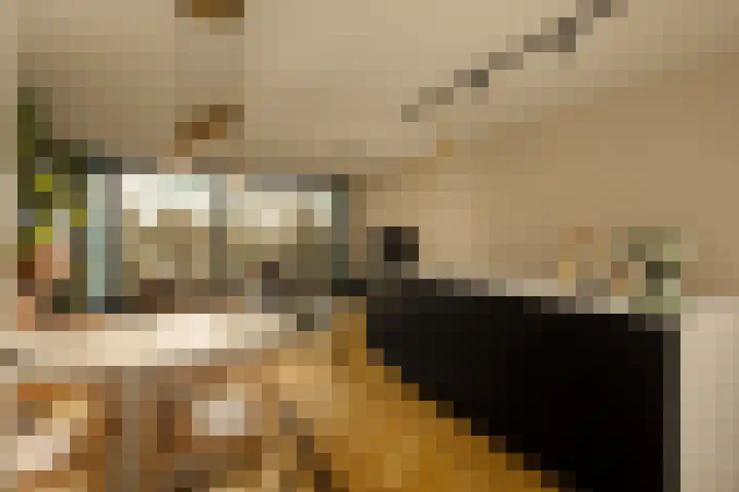 Badhuiskade 51 Amsterdam thumbnail 7