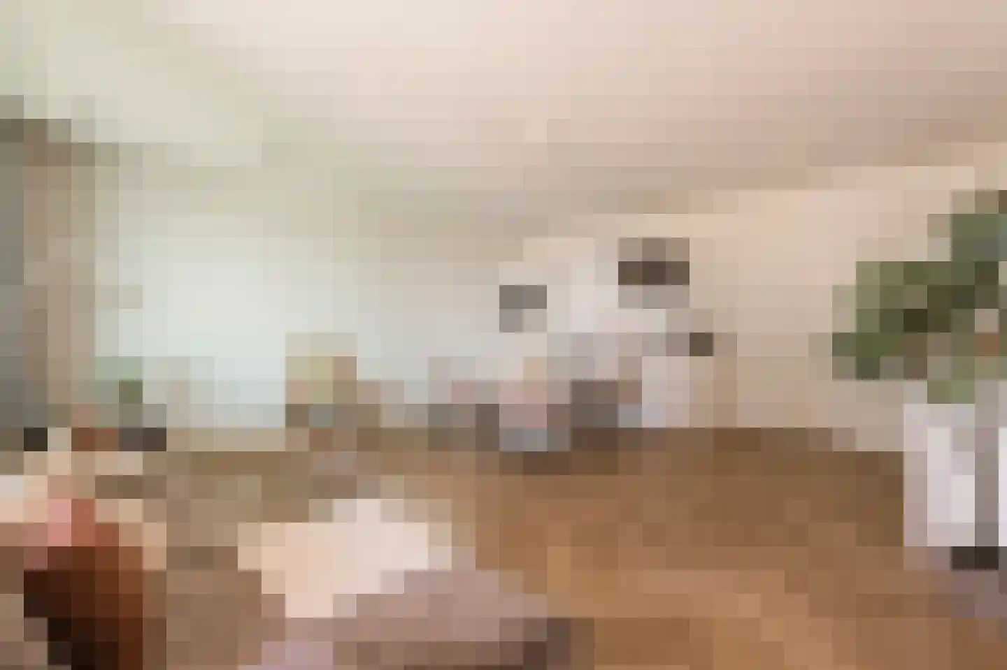 Badhuiskade 71 Amsterdam thumbnail 13